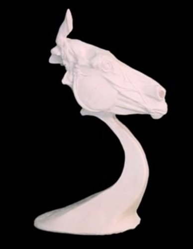 Horse Head Anatomy Study - Resin - 11