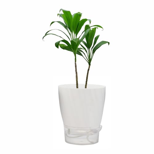 Image of INKULTURE Self Watering Flower Pots for Plants, Home Indoor & Outdoor Planters, Terrace, Garden Etc | Pack of 03 | Multicolor | Plastic | 07 inch X 6.5 inch