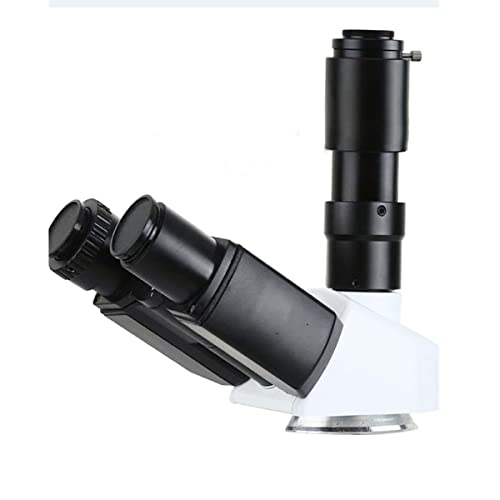 �������L�b�g �������w�b�h�o��O�ጰ�����q���W���r���[�C���O�w�b�h�`���[�u 23.2 �~�����[�g���ݒu���a 42 �~�����[�g�����{�����w���� �����������Y�A�_�v�^�[ (Color : Trinocular Head)