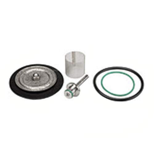 RIEGLER 101205-22.5714.4.16 zestaw części eksploatacyjnych z membraną PTFE, G 1/4, 1 szt