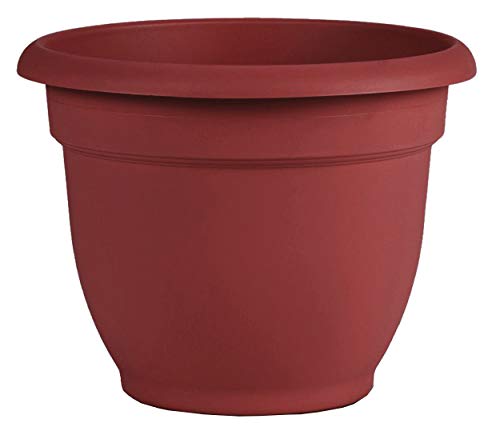 Bloem AP0813 Ariana Self Watering Planter 8