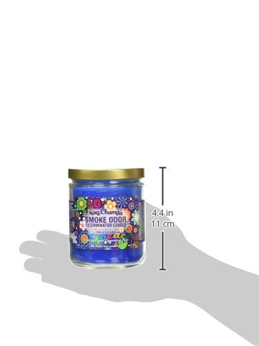 Smoke Odor Exterminator Nag Champa 13 Oz Jar Candle, 13 Ounce #TOP1