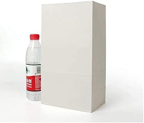 100pcs Paper Bag Brown Kraft Paper Bag Gift Bags Packing Biscuits Candy Food Bread Cookie Bread Nuts Snack Baking Package (White,32X18X11CM)