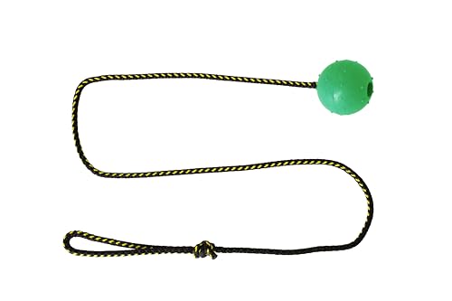 DINGO Palla per Cani con Testura - Riempita di gomma, con corda lunga 100 cm per sport canini, agilità, gioco di tira e molla - Taglia piccola - Colore casuale (17321-2)