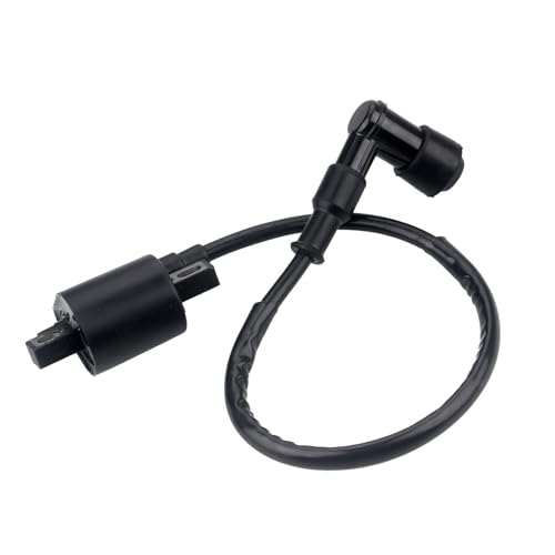 Opuweiy Motorcycle Ignition Coil, High Performance 90...