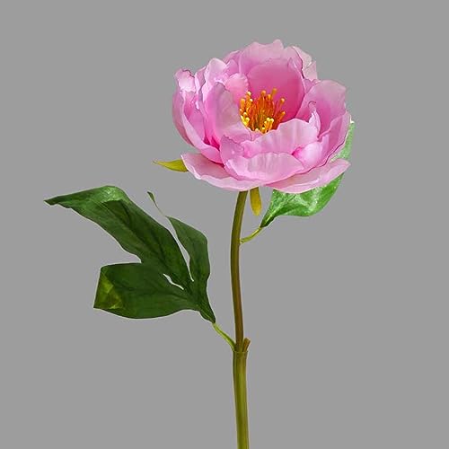 ���� �t�F�C�N�t�����[ ���A�� ���u �}�[���^ 6�{ �ԑ� �A�[�e�B�t�B�V�����t�����[ �X�^�C���b�V�� �C���e���A �k���� ���� �{���������� ���蕨 �v���[���g ��̓� ����Ȃ��� �J�X�j�� ����