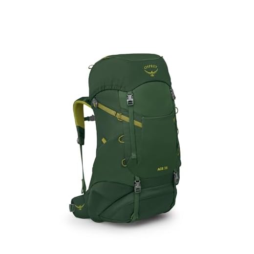Osprey Ace 38 Green Canopy OS