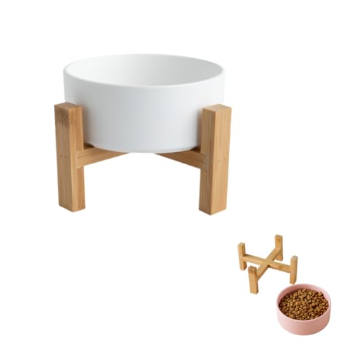  t[h{E L ݎM^ a H LюM  ݊ t[h{E wXEH[^[{E L̃GT Lݓ ~ O\ Hׂ₷ ȒP 芴  VR|X^ht ybgpi  ё (y{E