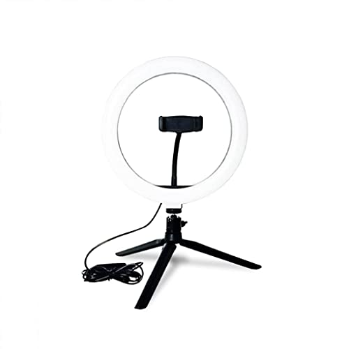 HCFSUK Fülllicht LED Ringlicht Studio Foto Video Dimmbare Lampe Stativ Stativ Selfie Kamera Handy Ringlicht für…