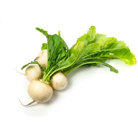 JustSeed Vegetable Turnip Snowball Seeds Cover