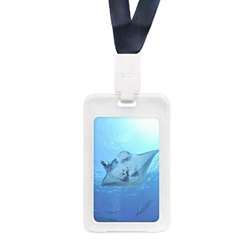 Protégez vos cartes contre les rayures avec l'étui transparent Ocean Ray skate et nature