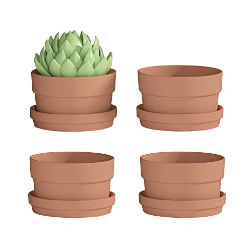 Fcacti 4 Pack 6 Inch Terracotta Shallow Succulent Pot - Large Terra Cotta Clay Pots with Saucer, Round Shallow Terra-Cotta Bonsai Pot with Drainage Hole for Indoor/Outdoor Plants by Fcacti - Used condition - US$22.52