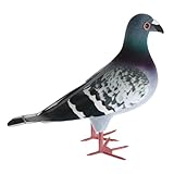 HIAKDOFT Künstliche Taubenfigur aus Schaumstoff und Federn Wetterfest Leichte Gartendeko Realistische Vogelstatue für Innen und Außen Dekorative Mini Taube in Zufälligem Stil Langlebig