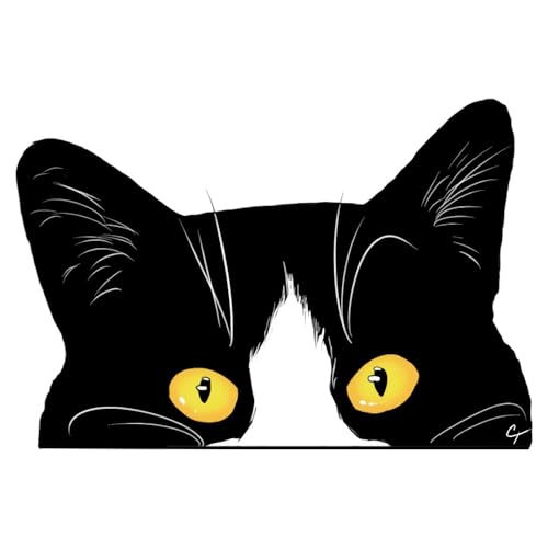 EARLFAMILY 13cm �L�̔`�����̎Ԃ̃X�e�b�J�[�Ԃ̑��̃g�����N�̂ӂ��̃L�����s���O�J�[�̕��h�K���X�̃X�e�b�J�[�̓��Ă��~�߂̃r�j�[���̎Ԃ̃X�e�b�J�[ (A)