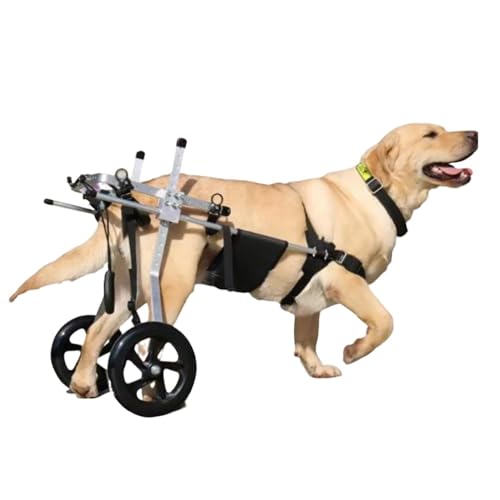 WSPWFQ Multi - Size Dog Mobility Wheelchair, Adjustable Frame & Straps, Protects Pet Skin, Perfect for Beagle/Border Collie, Dog Wheelchair for Rear Legs(M)