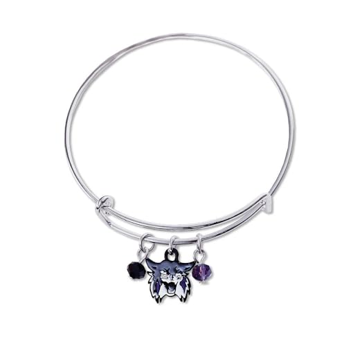 Fan Frenzy Gifts Bangle Bracelet Officially Licensed NCAA College Bracelets | Adjustable to Up to 8 Inches | College Team Jewelry, (Weber State University)