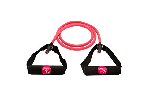 Fé Fit Resistance Bands - Workout with These Exercise Loops, with Handles (Medium)