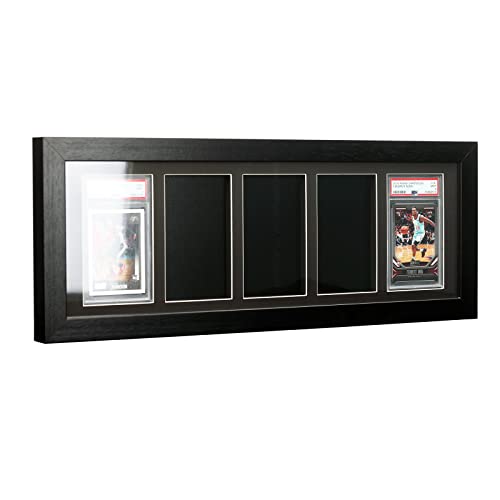 Bivitre 5-Slab PSA/CGC Frame