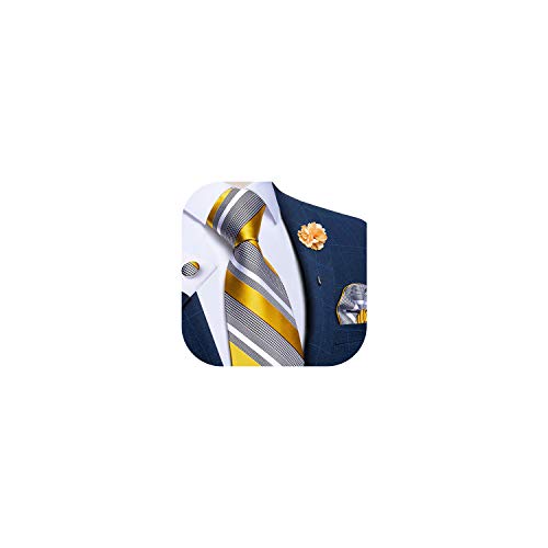 Image of DiBanGu Silk Ties for Men Necktie and Lapel Pin Brooch Set Formal Woven Paisley Plaid Striped Solid Tie Wedding Party