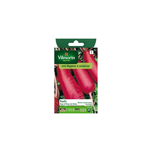 Vilmorin - Sachet graines Radis rose d'hiver de chine