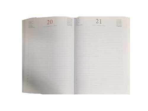 Agenda Intempo 2024 Giornaliera 12 Mesi Colore