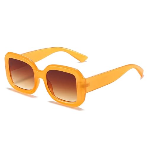 Lunettes de soleil pour femmes style punk chic et monture épaisse aux finitions soignées C2