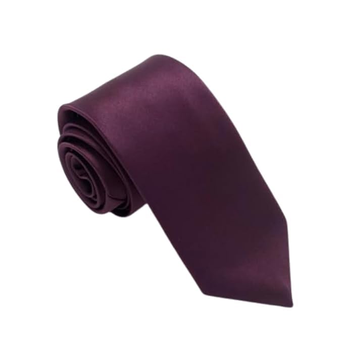 Austora Mens/Boy's Tie Necktie Formal Gift Silk Satin Men Thin Neck tie Solid Plain Classy-picture-25