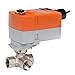 B309+TFRX24-3-S CCV | 0.5" | 3 Way | 0.8 Cv | w/Spg Rtn | 24V | Floating | SW