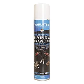 Multi-Insect Killer Aerosol 300ml | Kills Spiders, Wasps, Fleas, Ants, Flies & Crawling Insects | Fast-Acting & Long-Lasting Protection for Home & Garden