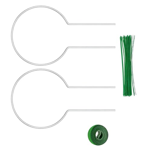 pumpumlia 2 Stück Modulare Pflanzenmerkmale Einfache Montage für Zoll Vertikale Gartenarbeit in kompakten Räumen Garten Rankgitter