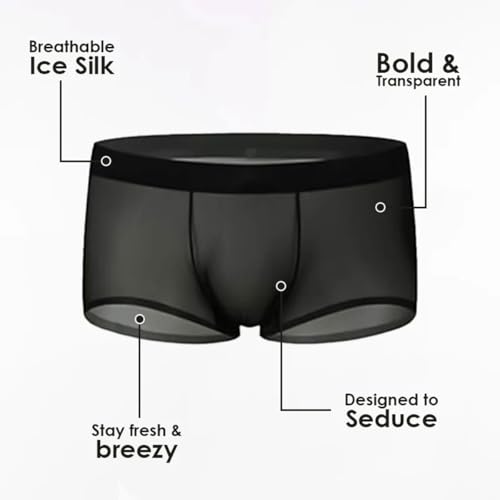 3 Pack Niksy Underwear, Men's Ultra-Thin Ice Silk Transparent Boxer Briefs for Date Night3