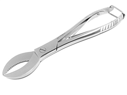 Dentalogixx Gipszange Cover