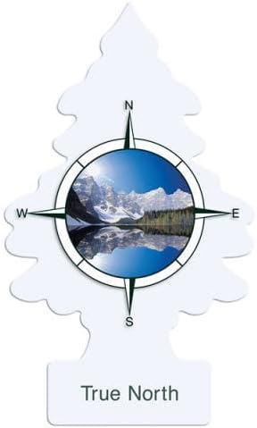 Miniatura 8 de Little Trees - Paquete variado de 12 ambientadores  12 aromas raros diferentes de ambientadores  Ambientador de coche para el hogar, camiones, RV,