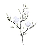 Seidenblumen Roß
