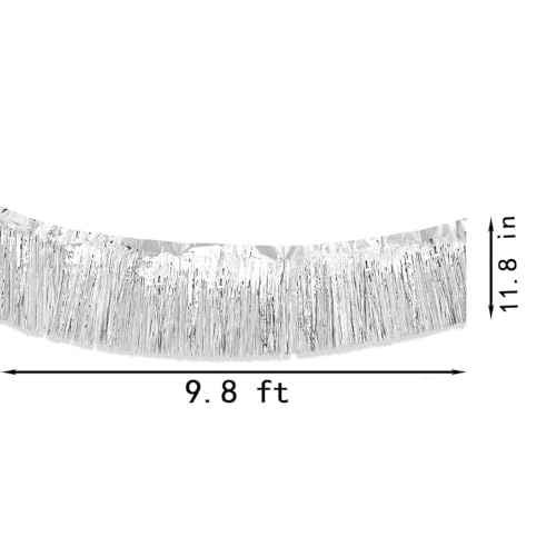 Image of Parade Float Decorations - Silver Fringe Banners & Garlands, 11.8 in x 9.8 ft, 4 Pack