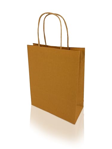 h-Green Papiertragetaschen 200x240x80 mm (25 Stück), tragbare Papiertüten mit 3kg Tragfähigkeit, recycelbare...