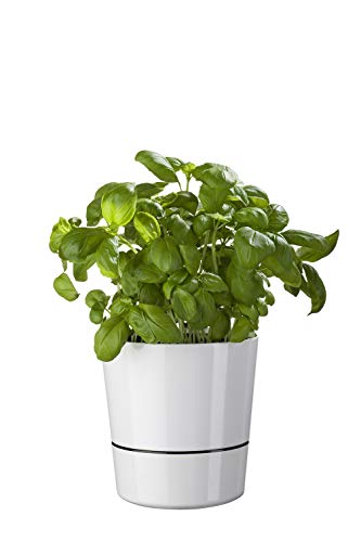 Mepal Kruidenpot groot, plastic, wit, diameter 13 cm - Image 4