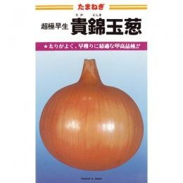 Amazon.co.jp: たまねぎ 種 【 極早生貴錦 (たかにしき) 】 種子 小袋
