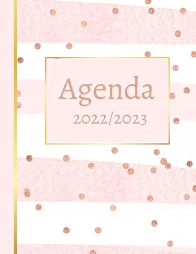 Calendrier Déc 2023 Agenda 2022 2023: 24 Mois Du Planning/Calendrier Semainier, Mensuel Et  Annuel De Janvier 2022 À