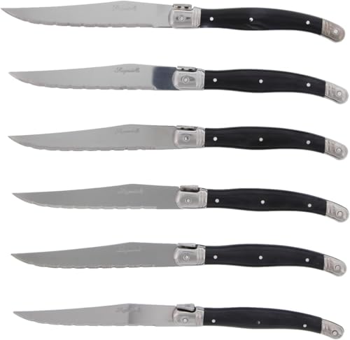 Pradel Excellence - Set 6 Couteaux de Table Laguiole Postiche - Lames Microdentées Acier Inoxydable - Manche ABS Gris Ergonomique - Boîte Transparente Élégante 15,7...