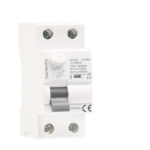 Disjoncteur différentiel GYL9 Type A résout les pannes d'isolement 2 pôles 63A 100mA RCCB