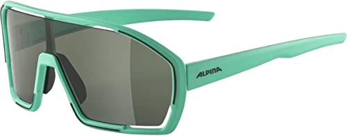 Alpina Bonfre Hydrophobic Sunglasses