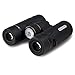 Celestron 71401 TrailSeeker ED 8 x 32 Roof Prism Binocular, Fully Broadband Multi-Coated Lens, BaK-4 Prism Glass, Black