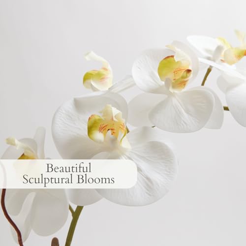 Image of CG Hunter Faux White Orchid Plant, Premium Artificial Indoor Flower Display Stands 25-Inches with Beautiful Sculptural Blooms and Foliage That Lasts Forever, Grey Planter Pot Included