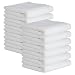 CARTMAN Microfiber Cleaning Cloth, Thick & Large Model, 350GSM 15.7 in x 23.6 in, 12pk (White)