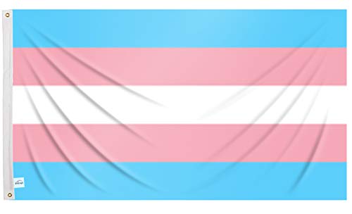 Ericraft Bandera Trans Grande 90x150cms Bandera LGTB de balcón para Exterior Reforzada y con 2 Ojales metálicos, Bandera transgenero Tela, Trans Flag Cover