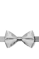 Algopix Similar Product 9 - Wedding Silver Wedding Silver Silk