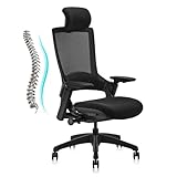 CLATINA Ergonomic High Swivel Executive Chair with Adjustable Height Head 3D Arm Rest Lumbar Support...