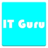 Nortel Meridian 1 commands IT Guru