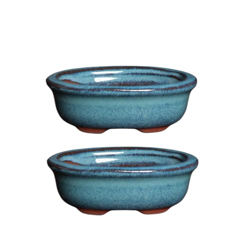Wensmy 2pcs Glazed Bonsai Pots Ceramic Succulent Flower Pot Vintage Bonsai Mini Glazed Pots Succulent Planter Pot With Drainage Cactus Flower Container Bowl Garden Decoration